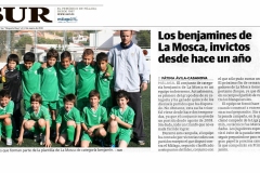 Articulo-sur